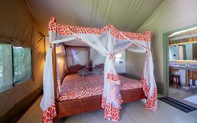 Lake Naivasha Crescent Camp